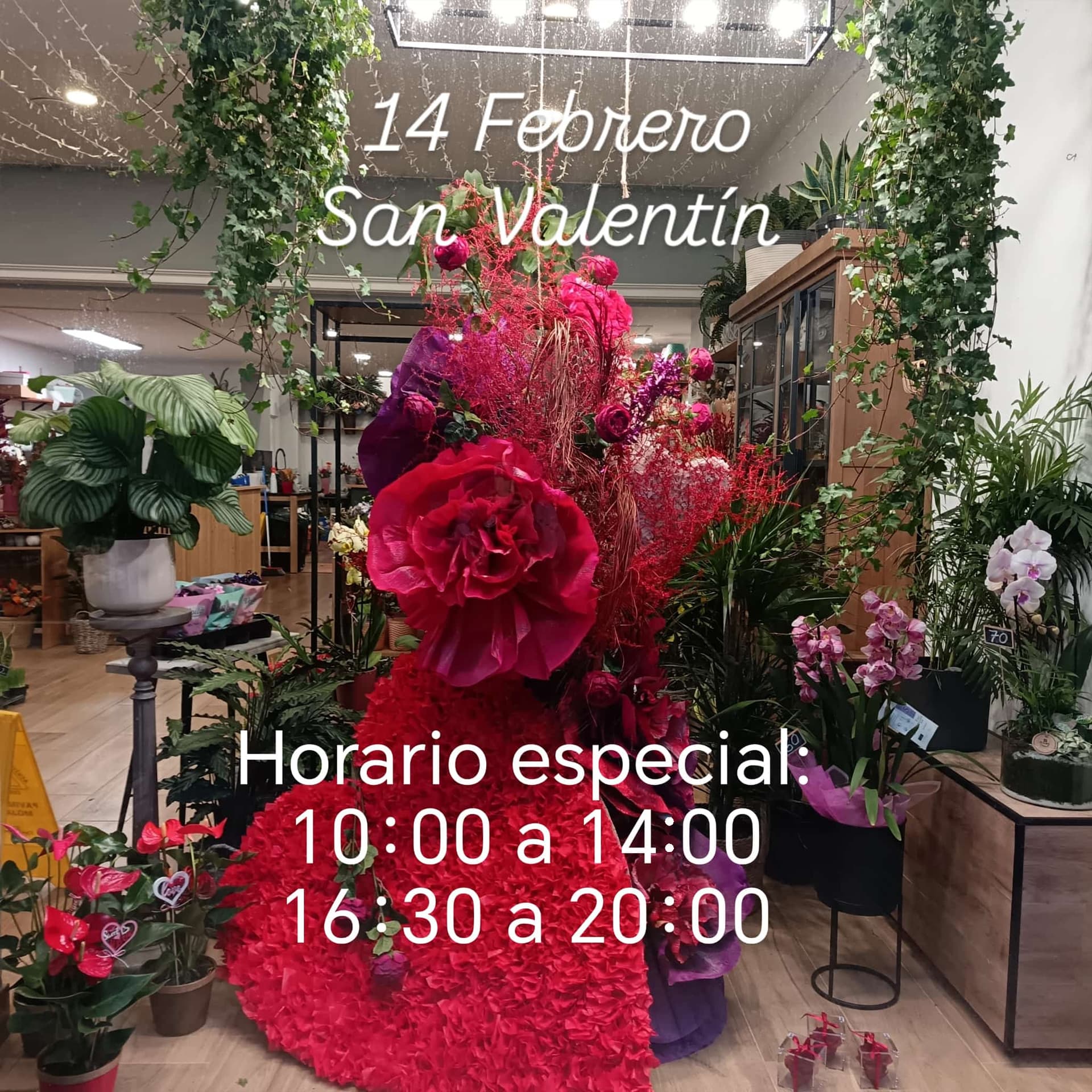 Horario San Valentín
